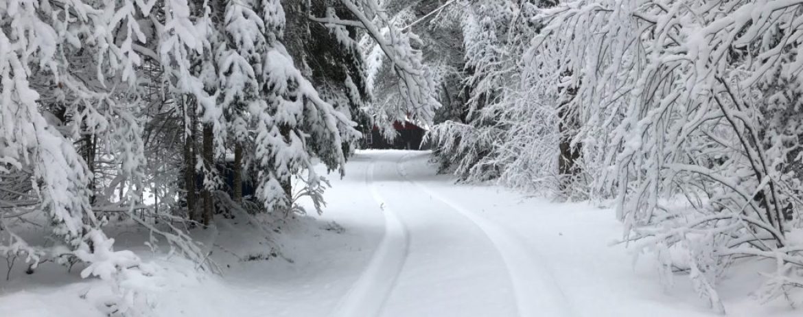 Winter