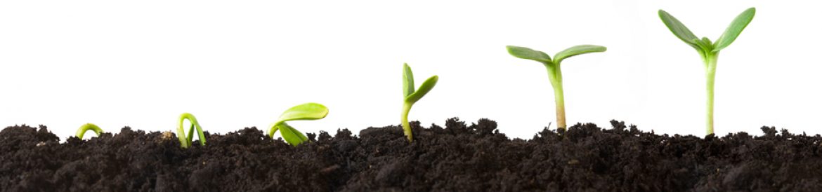Keep on Growing