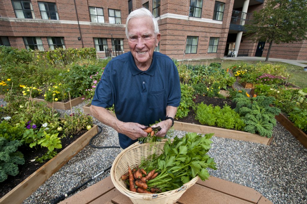 A photo of a elderly main harvesting carrots from the Holland Christian Homes public garden.