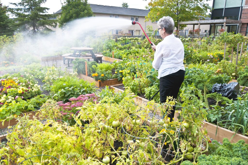 A photo of a tenant watering the public Holland Christian Homes Garden.