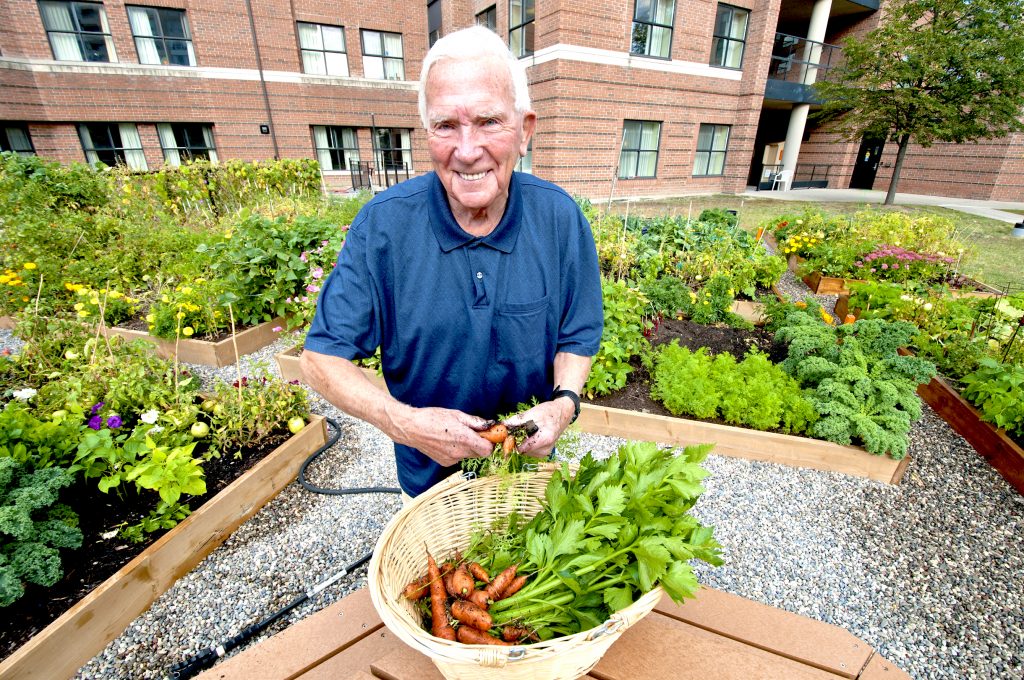 A photo of a smiling elderly man harvesting carrots from the public garden at Holland Christian Homes.